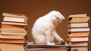 gatto_tra_i_libri-620x350