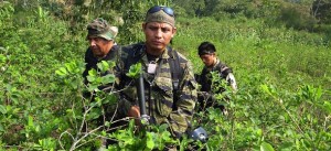 TO GO WITH AFP STORY - Peruvian drug enf